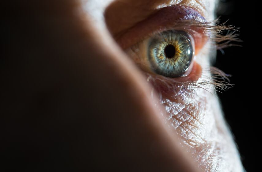 eye-old-Vladimir-Arndt.jpg
