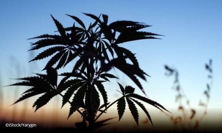 Consolidation and quality remain CBD’s prime destinations in maturing market