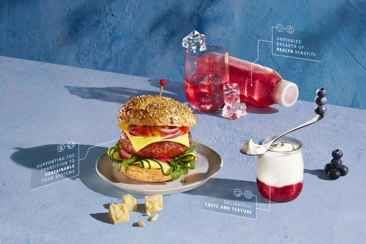 DSM combines three business areas into new Food & Beverage group 