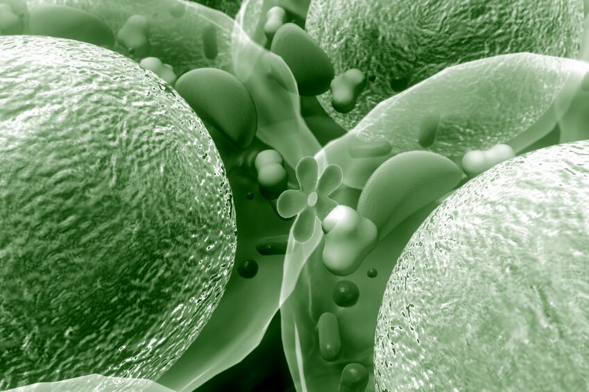 insulin-cell.jpg