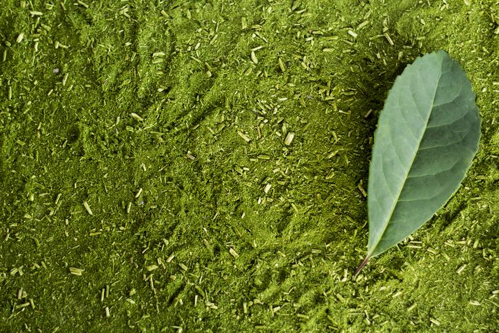 Fresh-and-powdered-yerba-mate-leaf-EmersonCruz.jpg