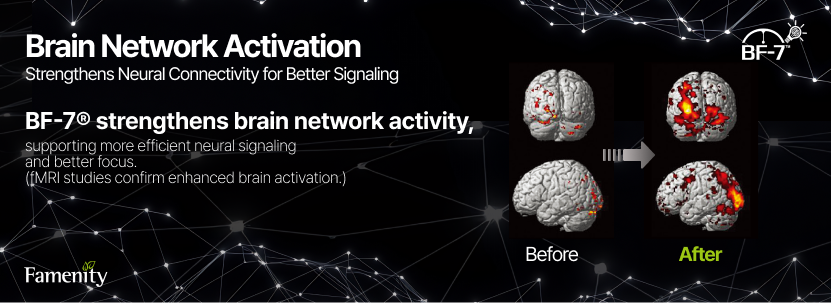 Brain Network Activation