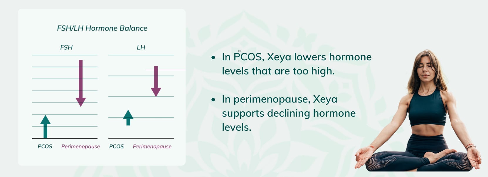 FSH/LHS Hormonal balance