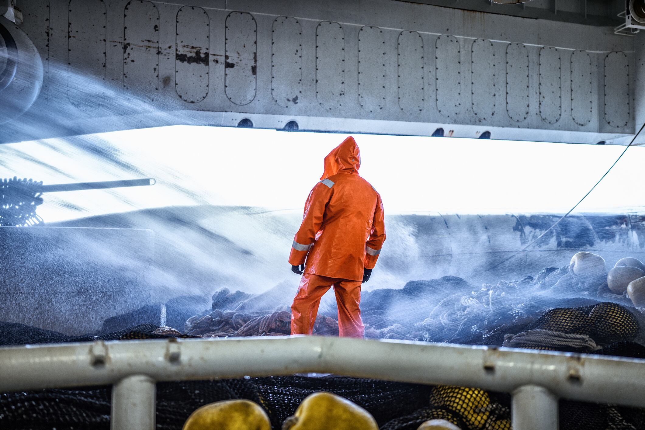 On the coast of Norway, Grøntvedt Biotech, a spin-out of a centuries-old pelagic fishing business, is working to reinvent fish oil for the longevity category.