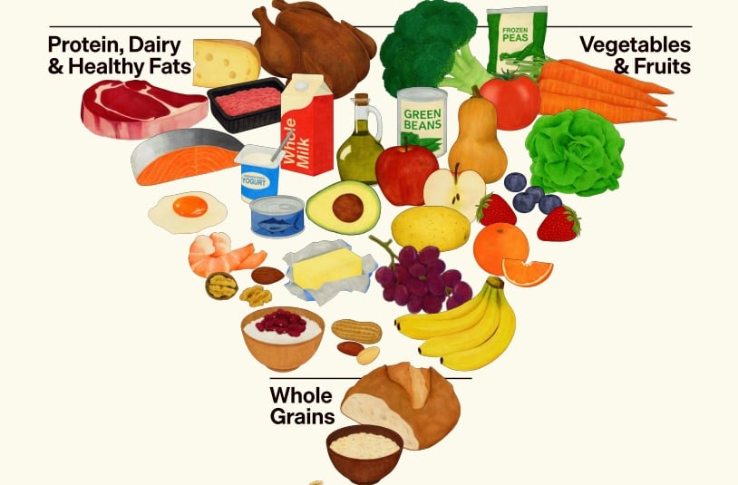 Dietary Guidelines for Americans, 2025–2030 features a new, reconstructed food pyramid.