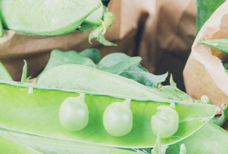 Meal replacement builds on tragedy to bring healing plant power to masses