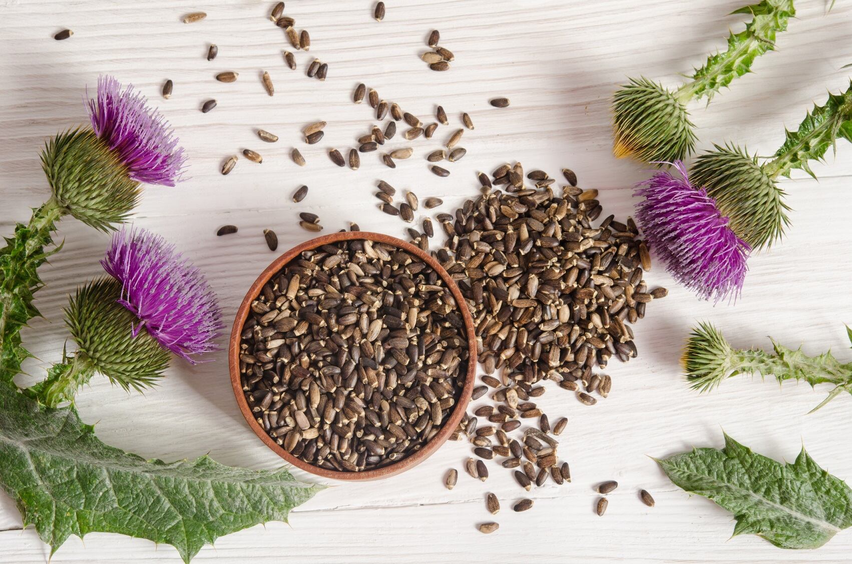 Adulterants Bulletin highlights ongoing problem of depleted Milk Thistle material