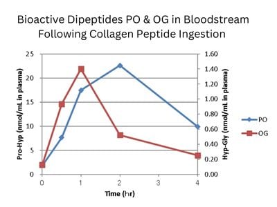 Bioactive-Dipeptides-PO-OG-Absoprtion.jpg