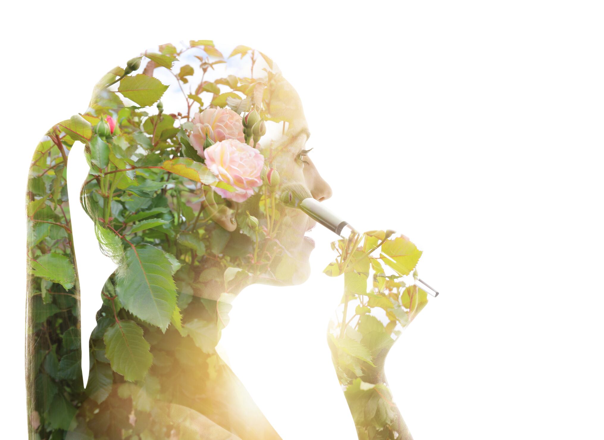 Sustainable beauty eco beauty green cosmetics