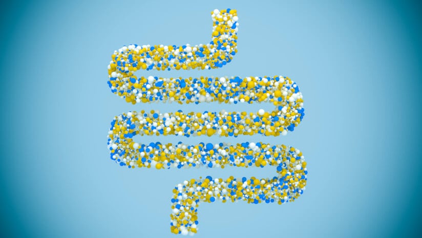 Probiotic-amylase blend may boost beneficial yeast levels, ‘re-align the gut microbiota’