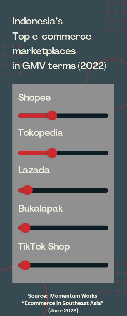 VitamInsights-Indonesia-2.png