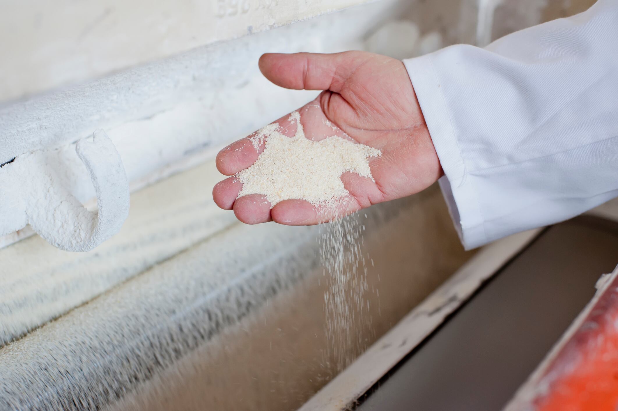 Just 7% of Mexico flour adequately fortified – it's 'inexcusable', says Changing Markets Foundation