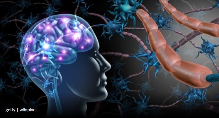Study: Positive signs that GOS supplementation can reduce stress and anxiety