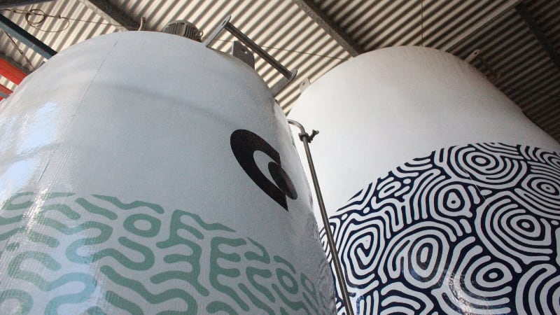 Cauldron-Ferm-s-new-precision-fermentation-facility-in-Queensland-set-to-reduce-production-cost-raise-capacity.jpg