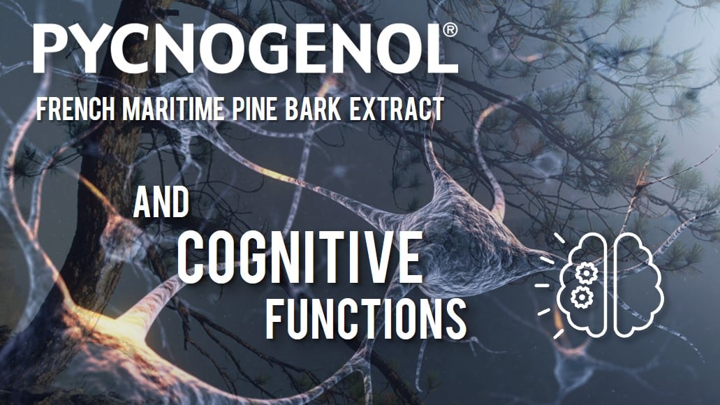 Pycnogenol-R-Supports-Cognitive-Function-at-Any-Age.jpg