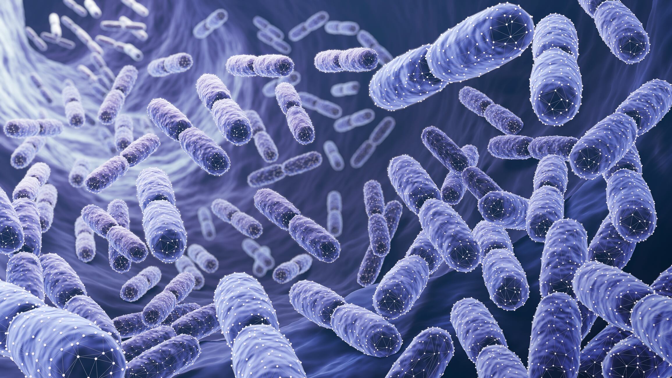 Probiotic bacteria, Lactobacillus , 3d illustration
