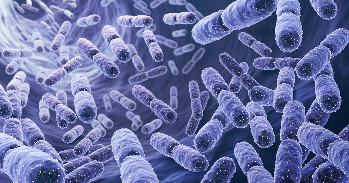 Caelus next-gen live commensal bacterium gains EU Novel Food safety approval