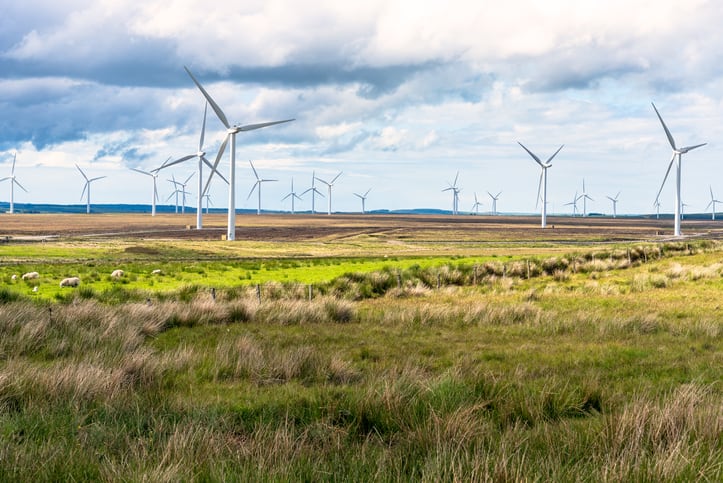 Aker to partner with renewable energy leader Uruguay in green ammonia plan