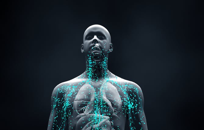 Research advances make it possible to assign an age to individuals' immune systems