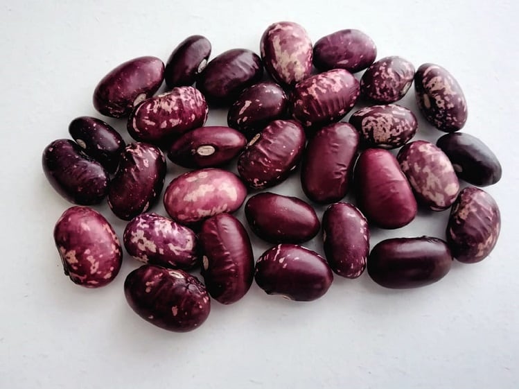 Mexico-bean-biofortification-potential-varieties-rich-in-zinc-iron-protein-antioxidants.jpg