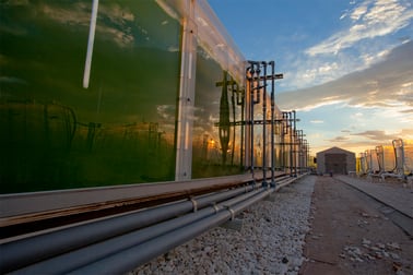 azcati-photobioreactors.jpg