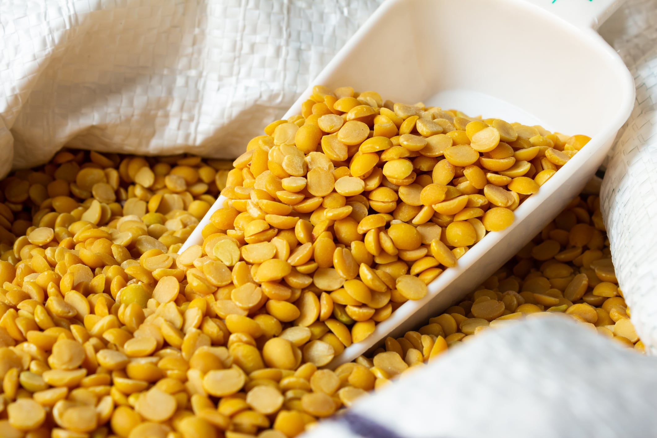 Indonesian prof creates pigeon pea yogurt drink for metabolic health 