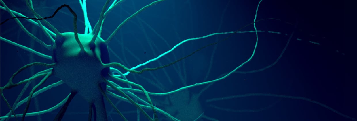 Aker Biomarine Lysoveta