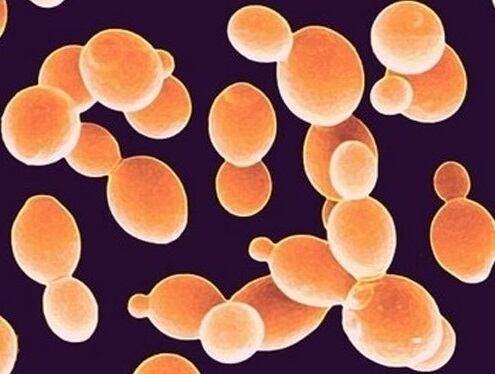 Interest in immune-linked ingredients like selenium to persist after pandemic passes, supplier asserts