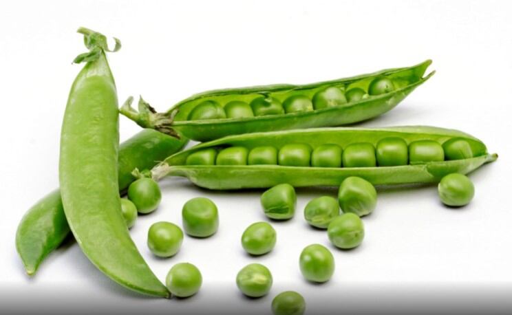 Sports nutrition report points to protein versatility as way to achieve product success