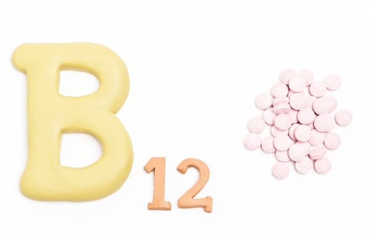 Singapore-researchers-raise-vitamin-B12-in-soy-based-foods-by-co-culturing-Bifidobacteria-and-PAB.jpg