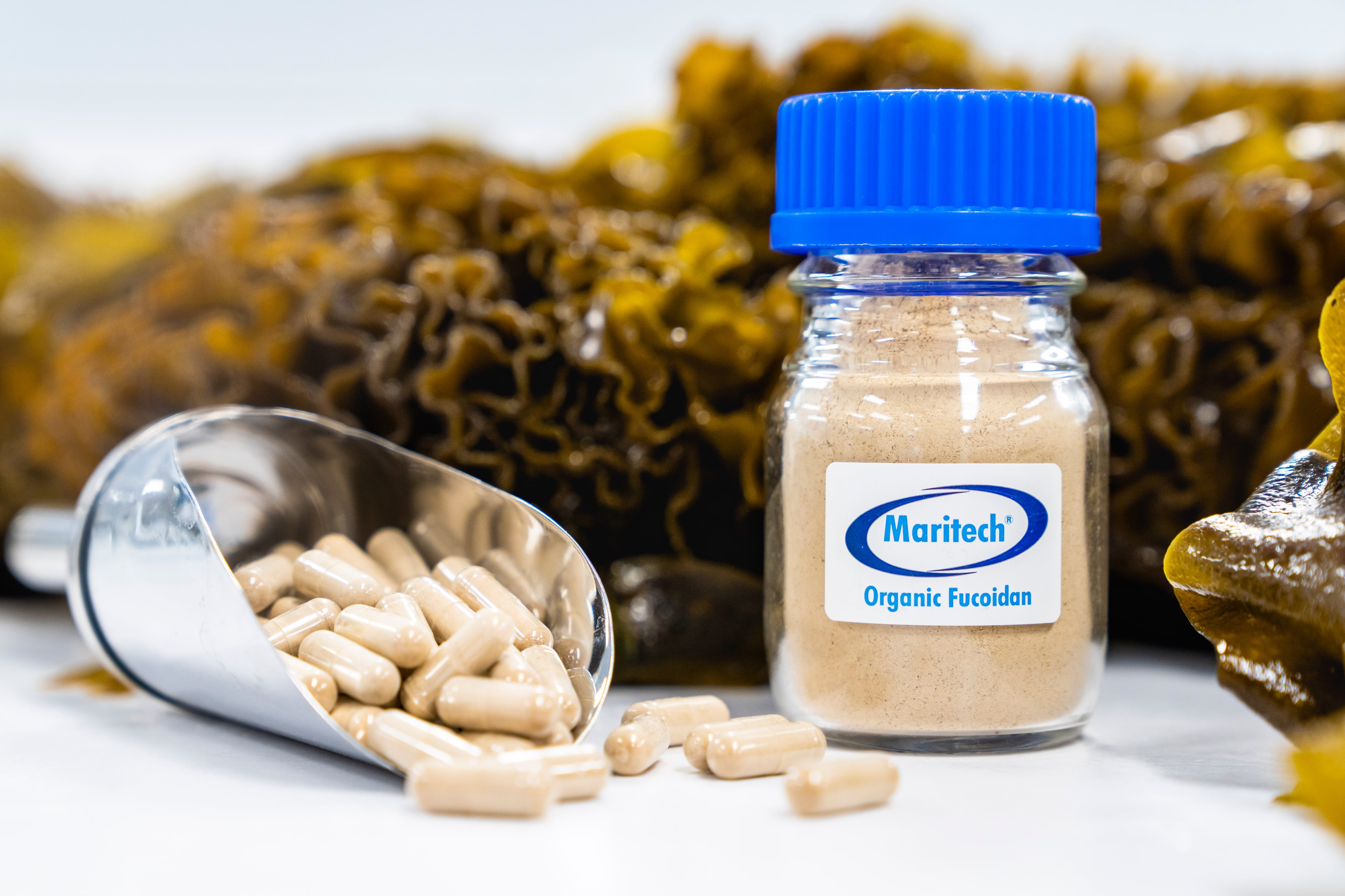 Marinova's fucoidan extract utilizes Maritech extraction technology