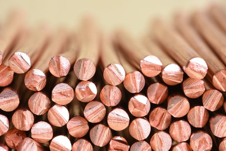 4-must-know-beauty-trends-spotted-at-IBE-LA-2019-wood-ingredients-skin-microbiome-copper-bee-beauty.jpg