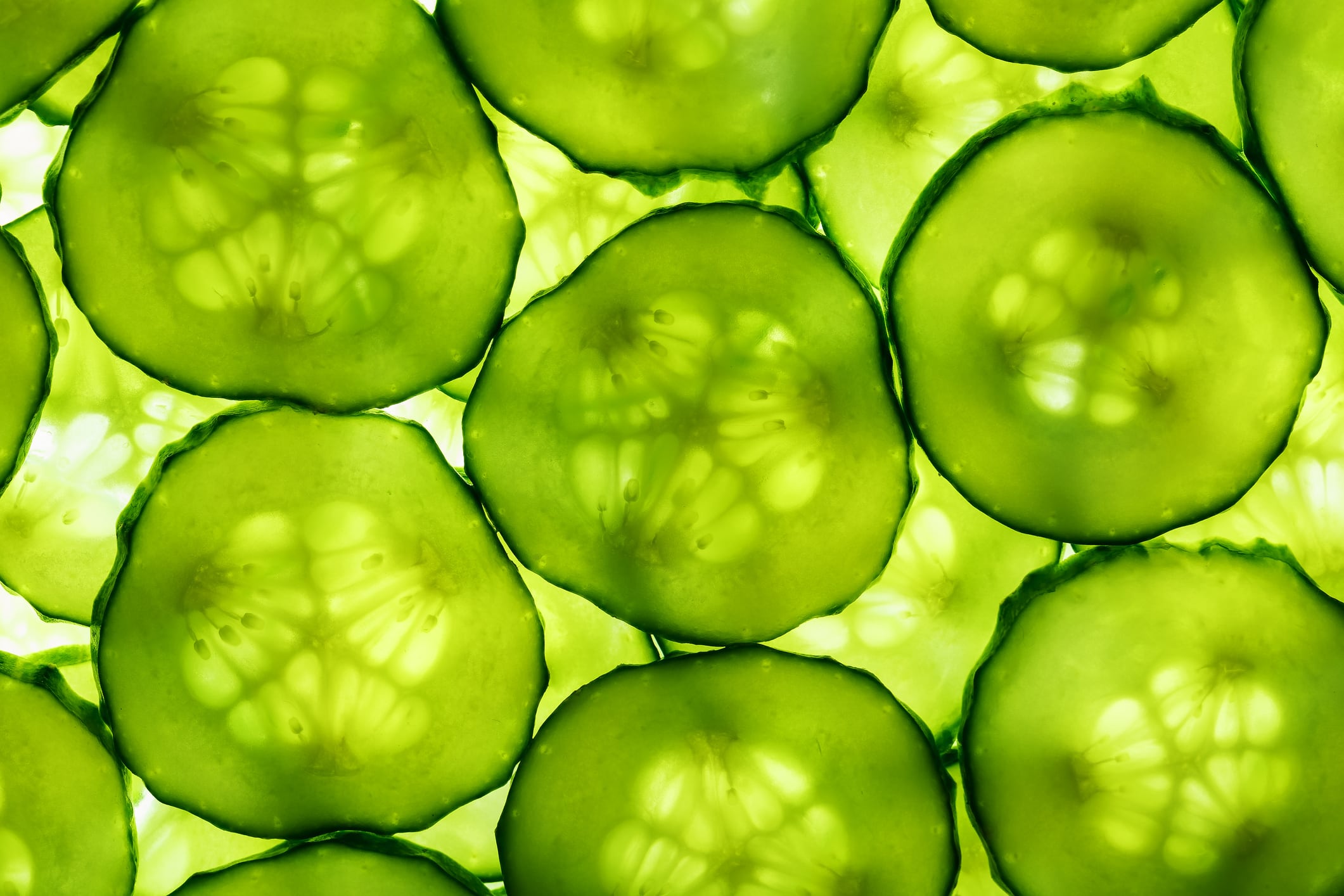 Slices of green fresh cucumber, backlit.