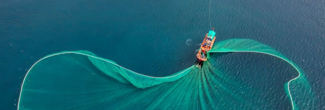 El Niño disruptions: How has omega-3 supply been impacted?