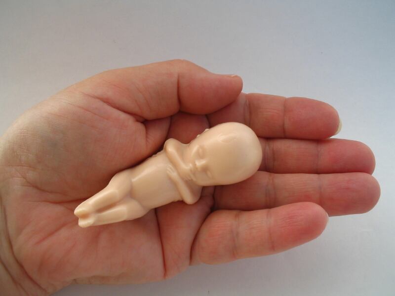 baby-infant-develop-maternal-pregnancy.jpg