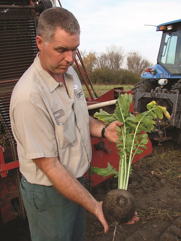 Radish-Harvest-2008-Standard-Process.jpg