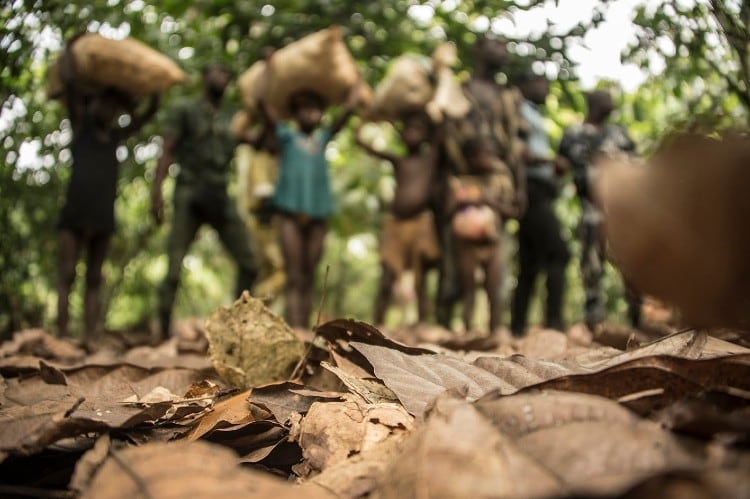 European Union set to ban goods, including cocoa, using forced labour in supply chain