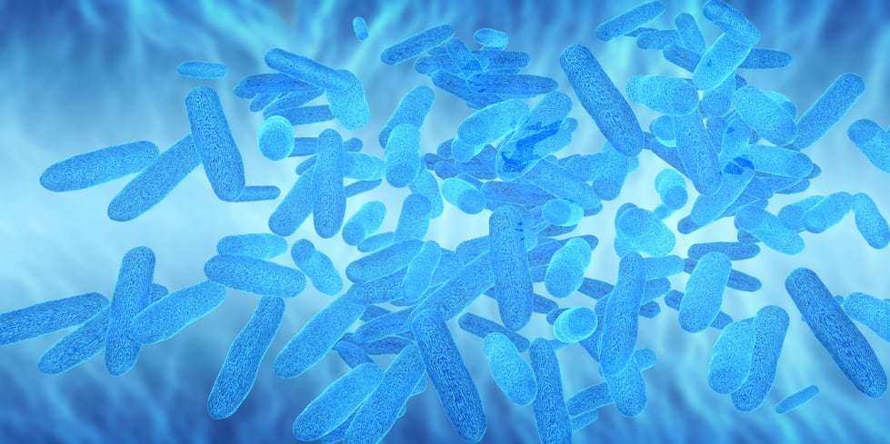 microbiota-gut-bacteria-probiotics-prebiotics-iStock-goa_novi.jpg