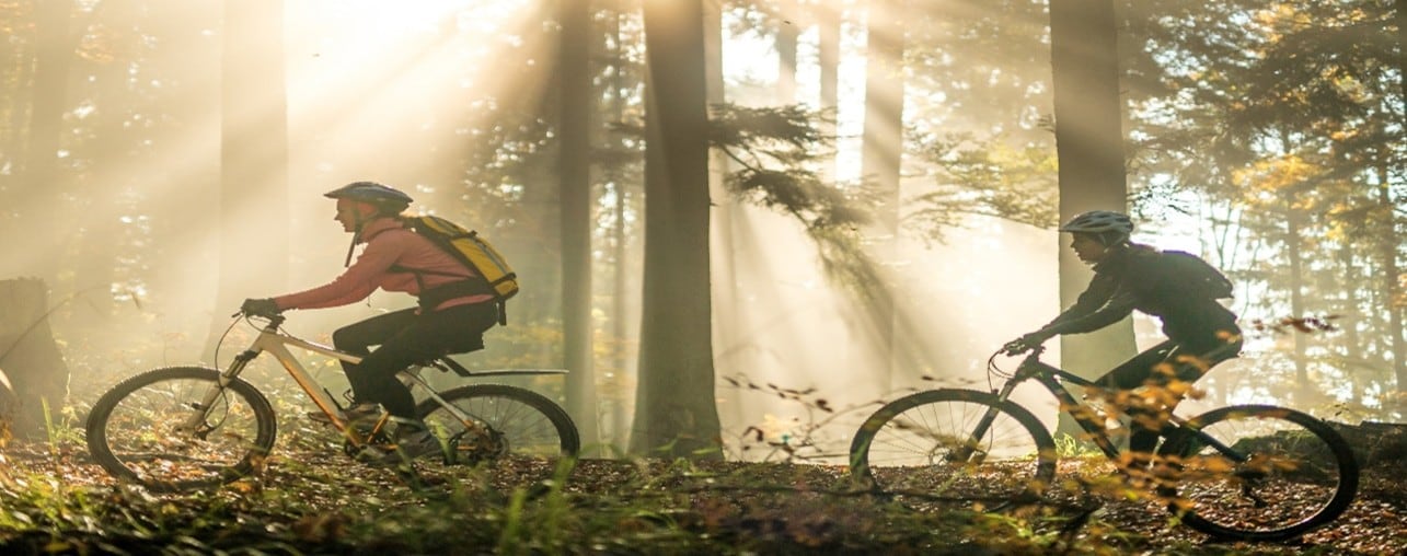Two people cycling in the forest