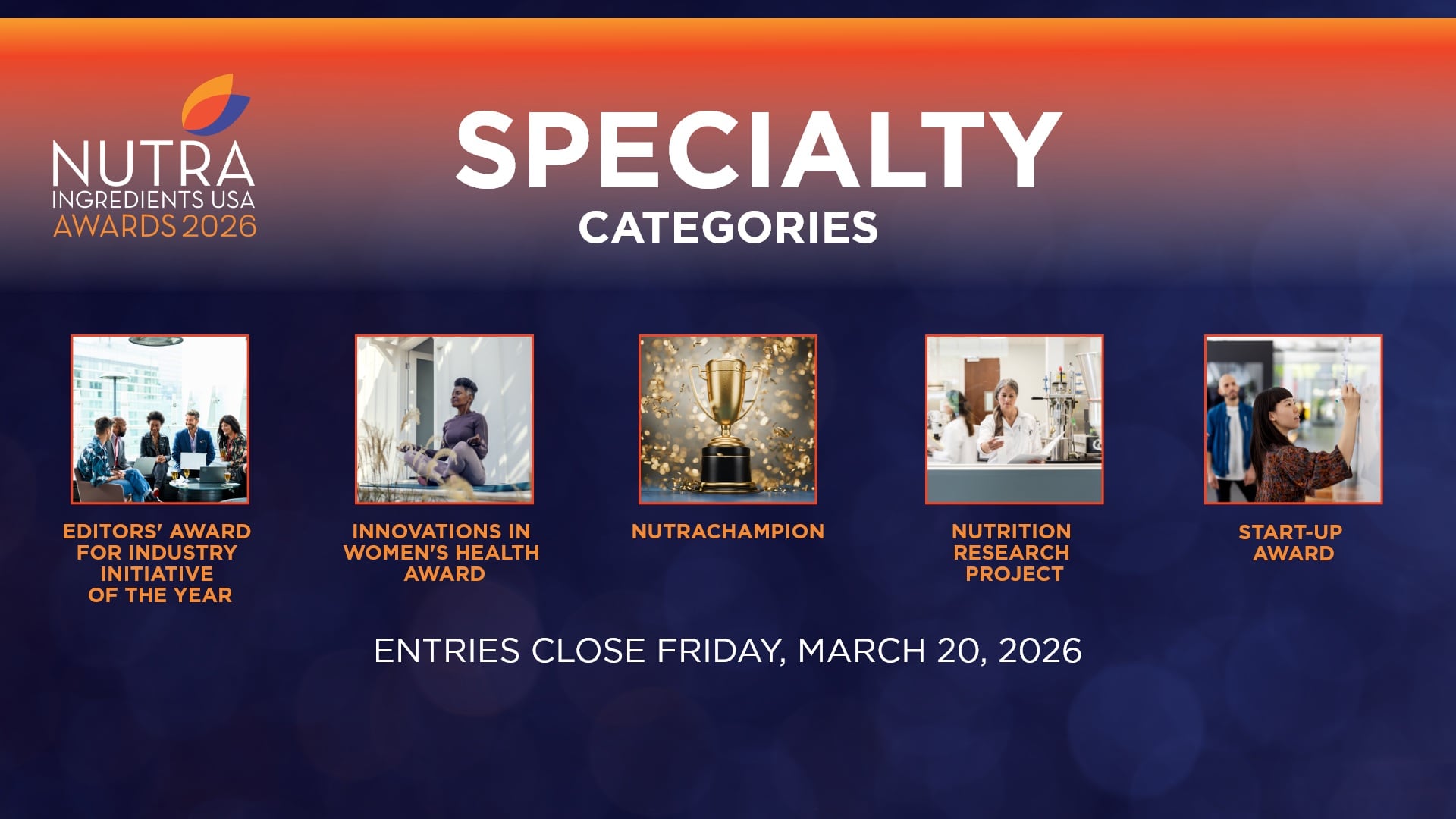 NIU Awards Specialty Cats