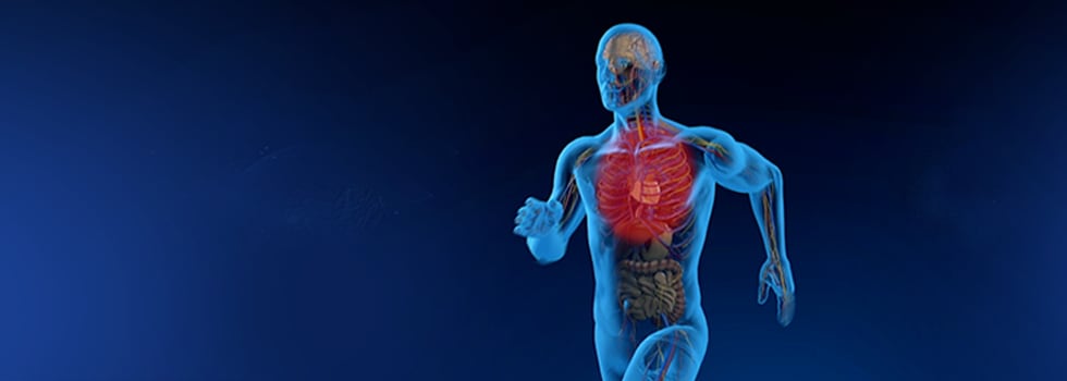 Ubiquinol-Clinically-proven-to-help-maintain-healthy-energy-levels.png
