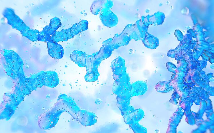 Fermented milk raises Bifidobacterium, butyrate levels - Yakult Indonesia study 
