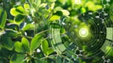 Turning nutraceutical development upside down: How AI is building better products