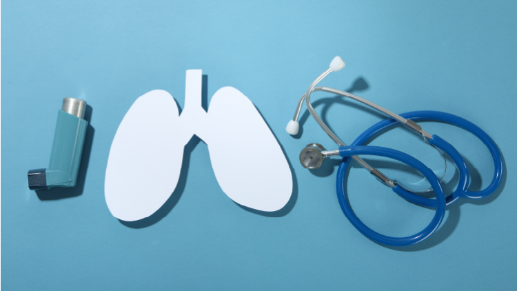 The Future of Lung Health: A Probiotic Human Clinical Study