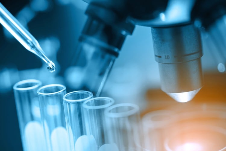 Science shorts: Immunity, respiratory, and brain health in focus 