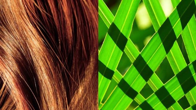 Efficacy of saw palmetto  on hair loss 