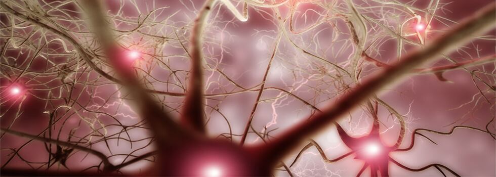 OptiPEA-The-absolute-safe-resort-in-chronic-pain-management.jpg