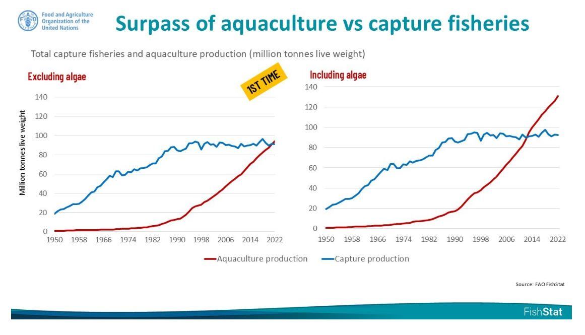 Aquaculture-v-capture-fisheries-FAO-data.jpg