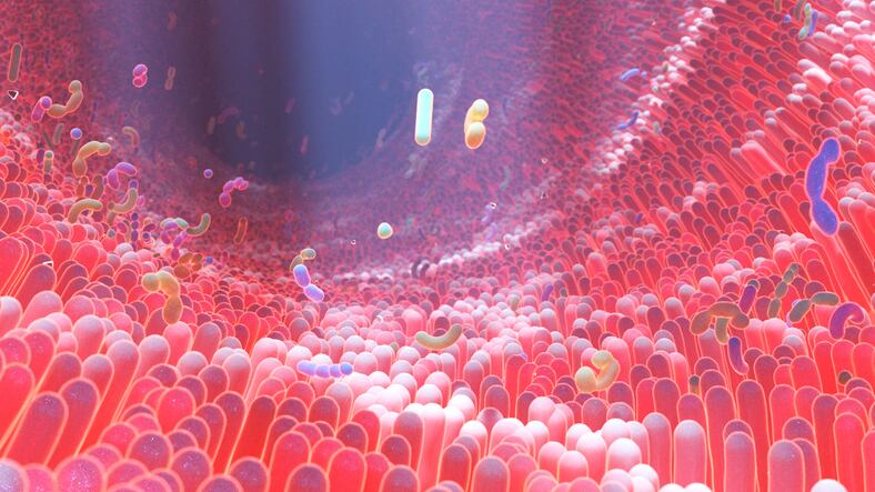 Thorne-Gut-bacteria-variability-impacts-drug-efficacy.jpg