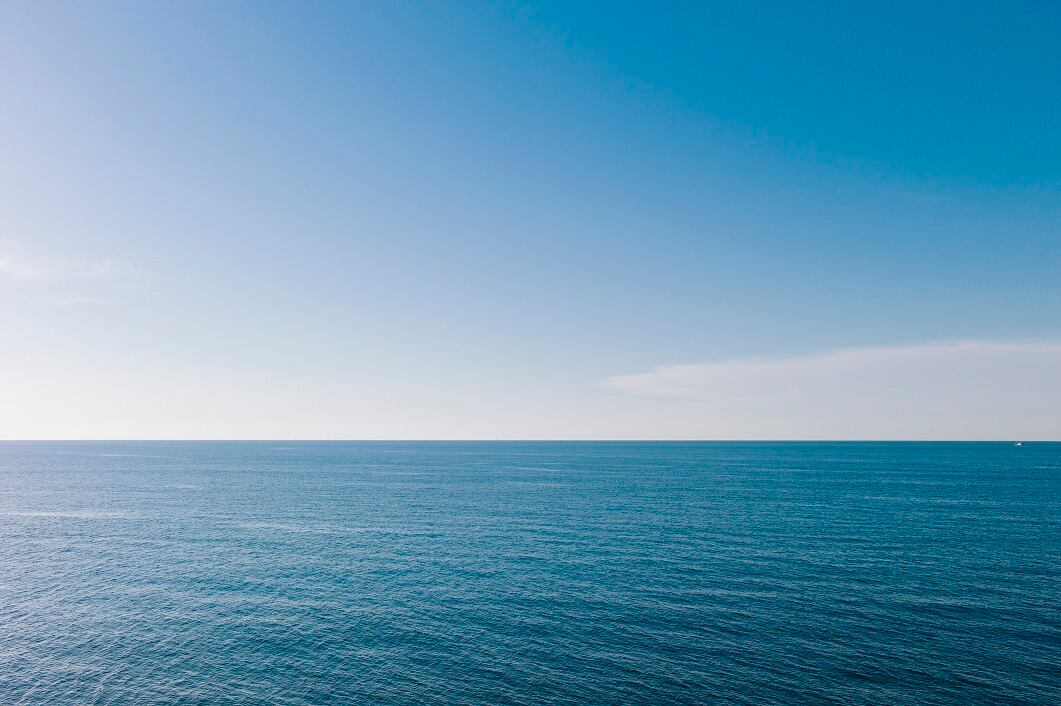 Fucoidan's promise: Marinova eyes opportunities in wound healing and inflammation